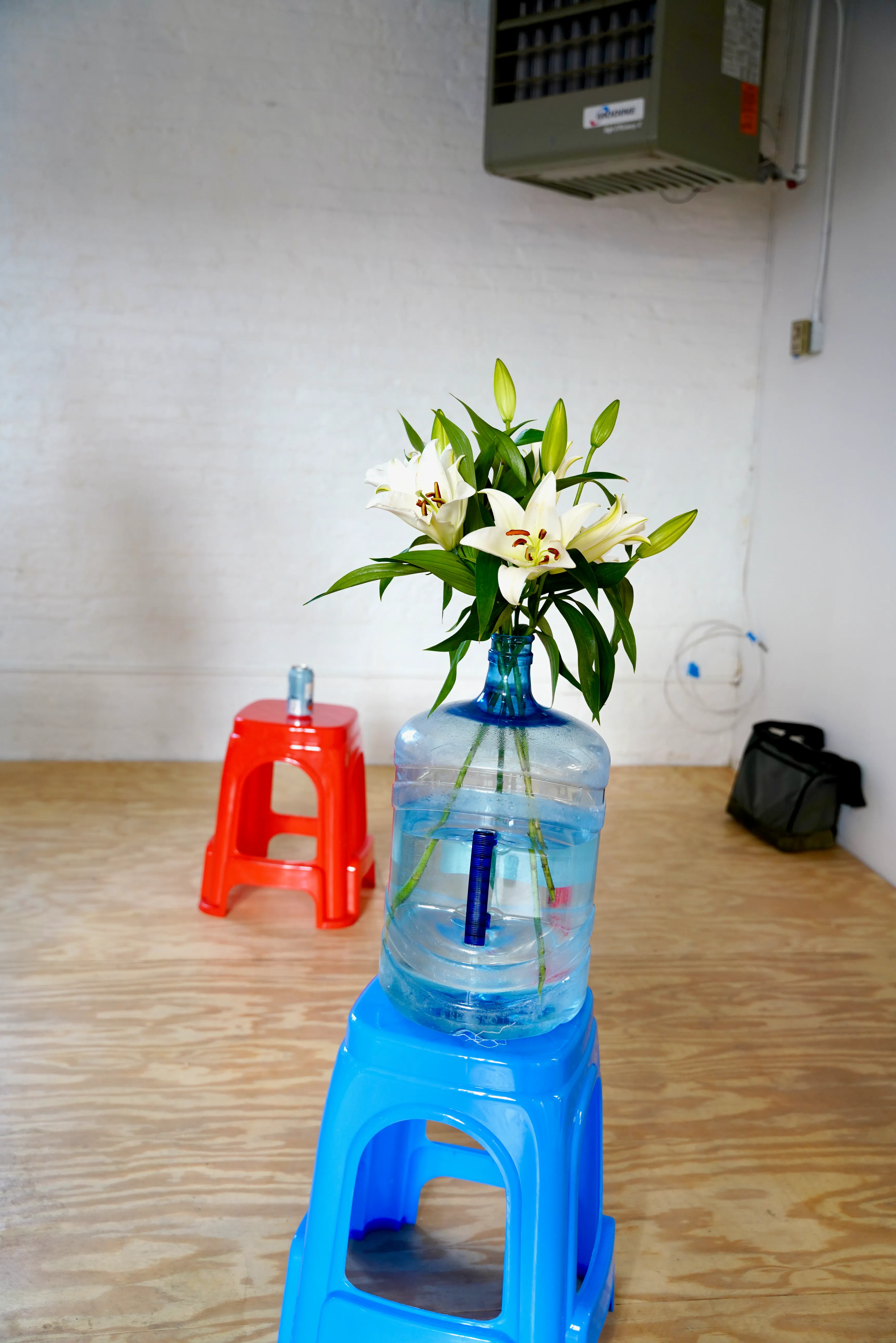 lilies in a jug at the telos preview