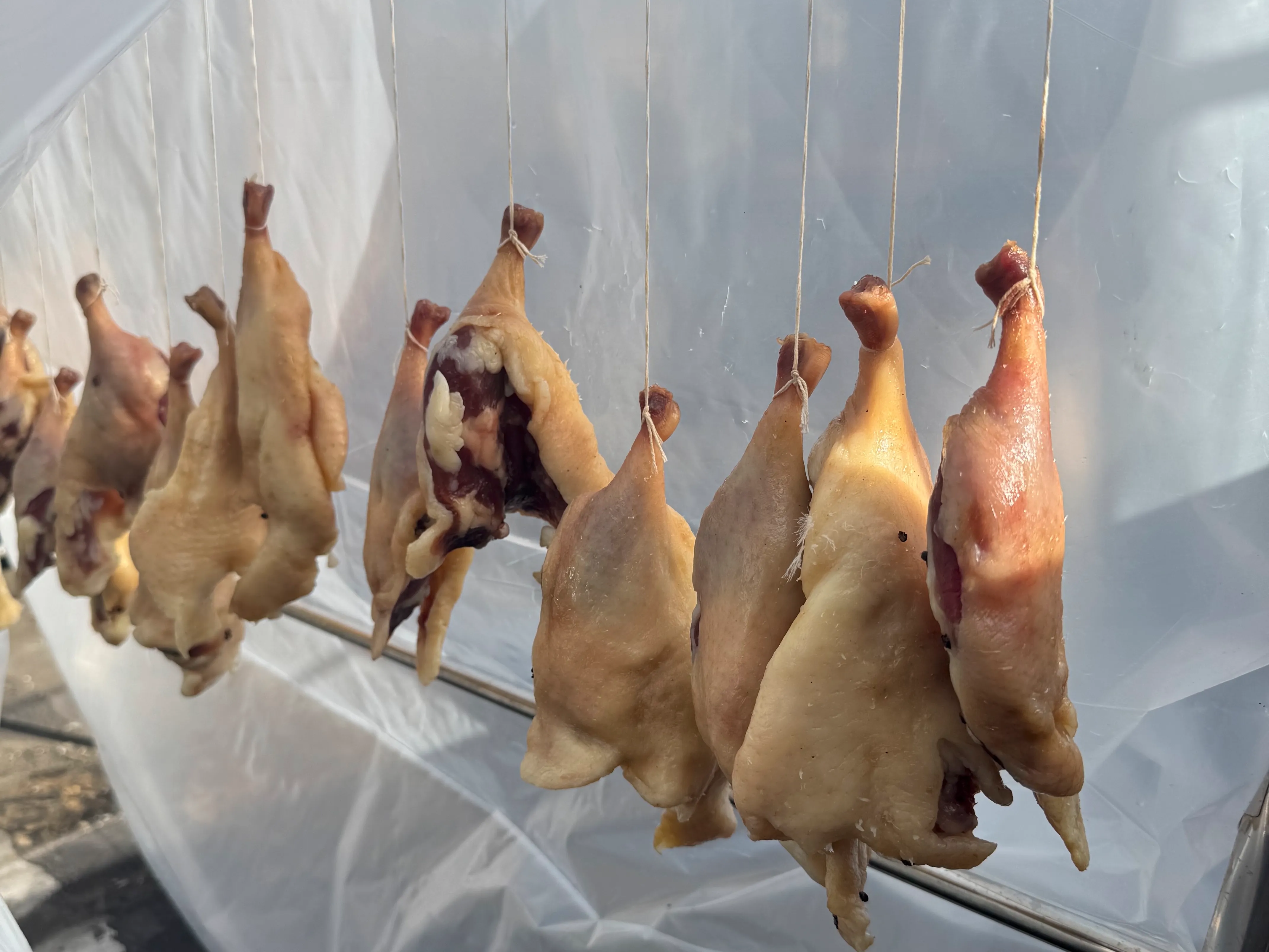 Winter Cure Workshop: Wèi Collective x Zoe Yang