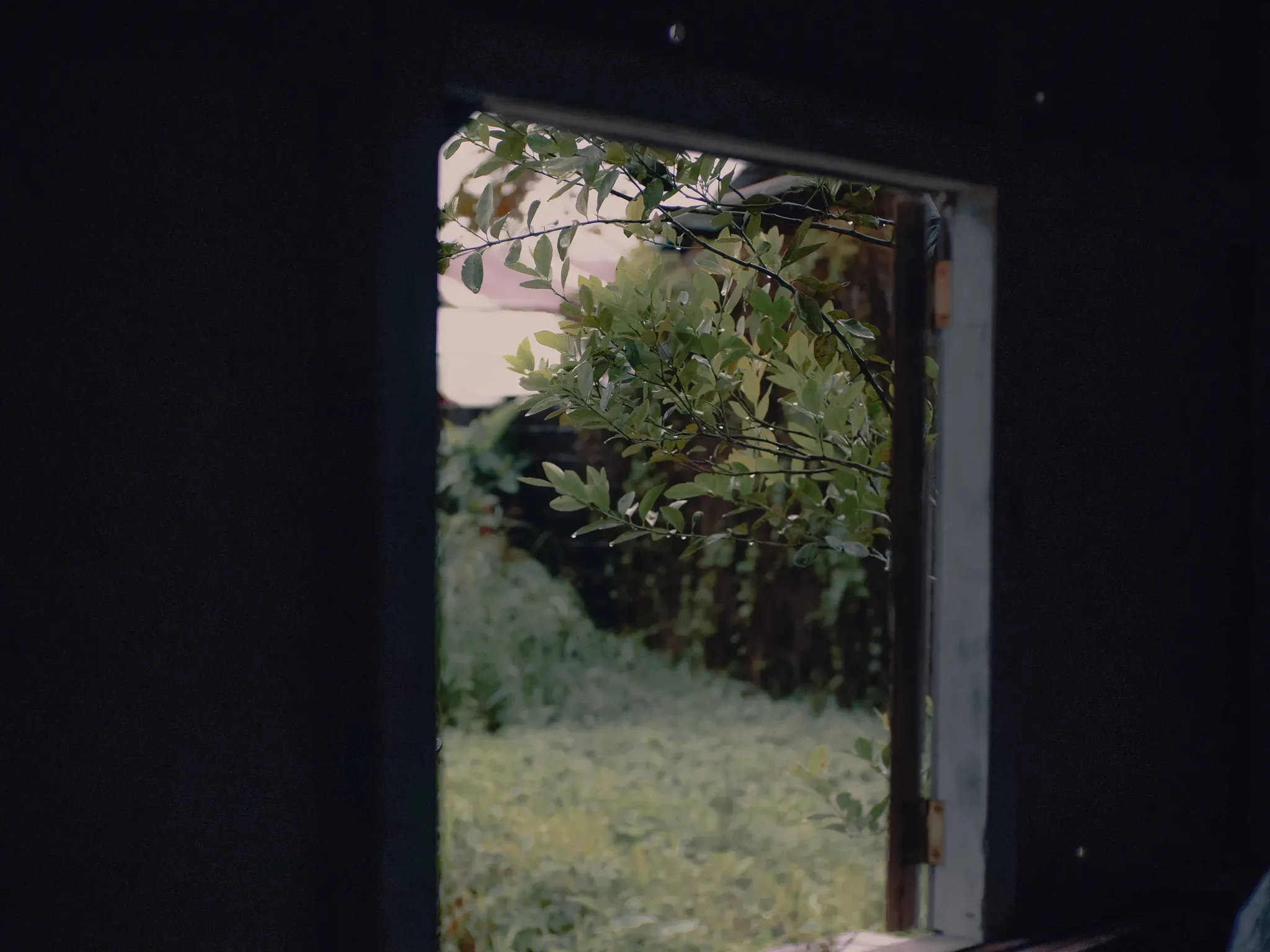 Meditations: A Night of Healing, Photography, & Community Journaling